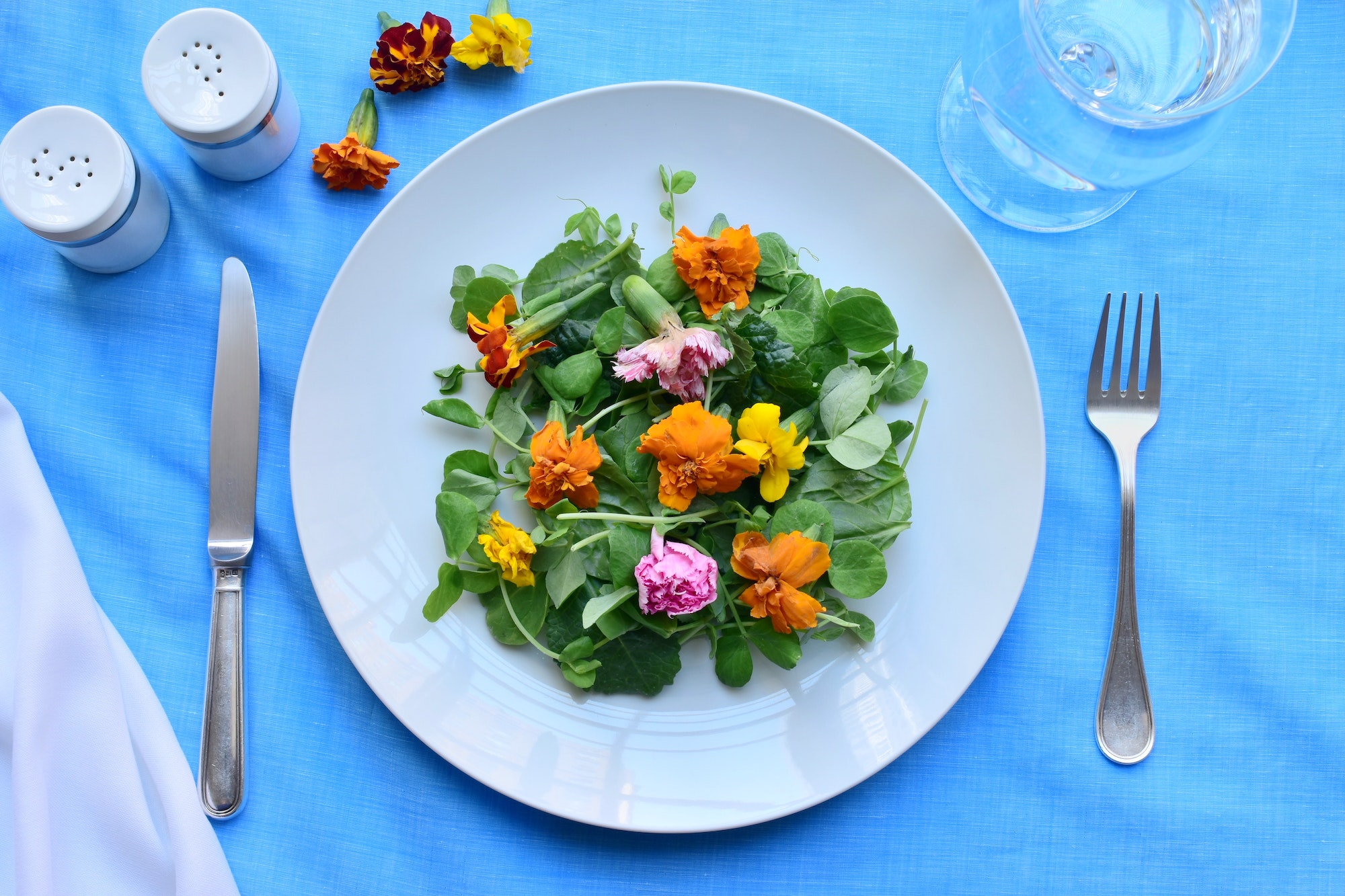 Fleurs comestible en salade