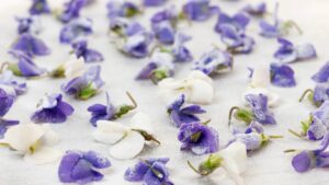 bonbons à la violette