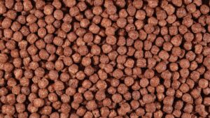 céréales chocolaté