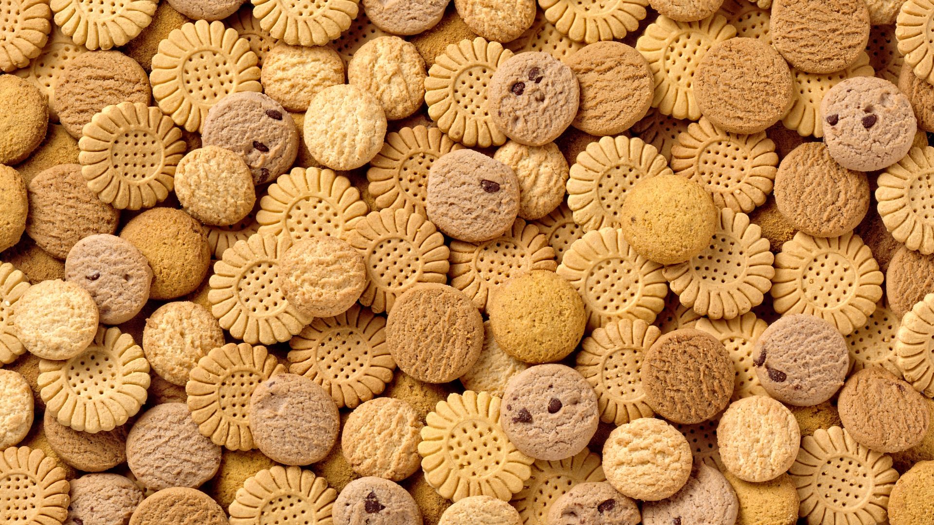 biscuit lu